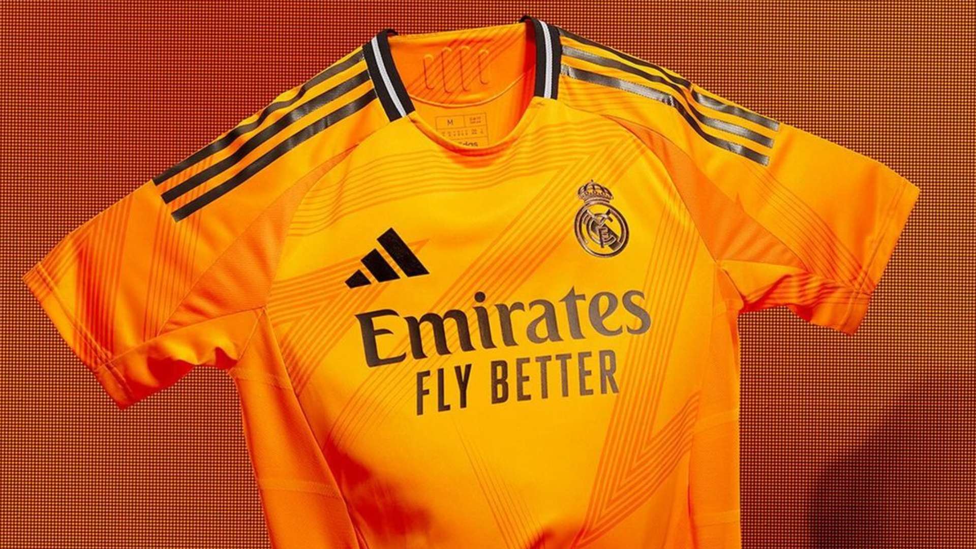 样顶尖的教 样顶尖的教